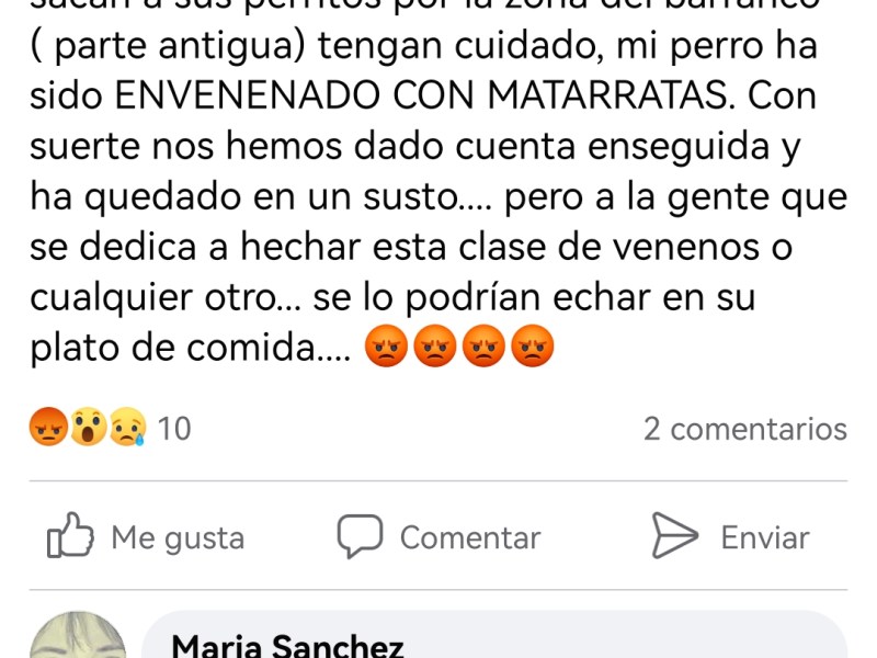 Nuevo ataque anoche del envenenador de&nbsp;perros